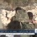 تقرير تلفزيون فلسطين عن احداث قرية قصرة واحتجاز المستوطنين