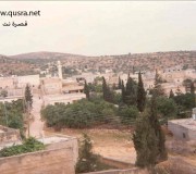 صورة قديمة وسط البلد قبل أن يتم تعبيد الشوارع