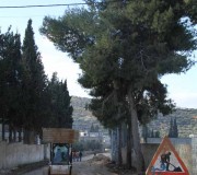 بدء العمل بالخط الرئيس الناقل للمياه من خزان قصرة إلى القرى المجاورة.