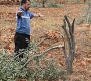 قصرة نت يرصد اعتداءات المستوطنين على قرية قصرة منذ العام الماضي