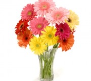 تهنئة بمناسبة الزفاف للشاب زيد نعمان السعيد