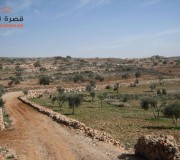 صور من منطقة قطاع كامل وخربة الكرك وما حولهما | من سنة 2009