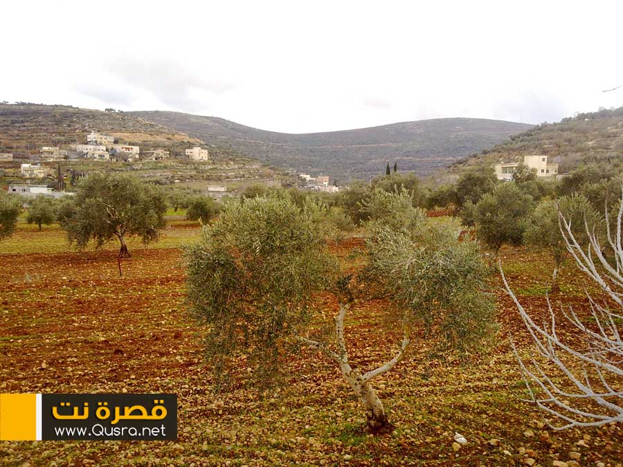 صور التقطت اليوم 28-1-2012