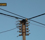 إنقاذ قطة عالقة على إحدى أعمدة الكهرباء في القرية