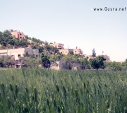 صور من ربيع 2012 في قرية قصرة