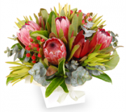 تهنئة للشاب محمد جودت عارف