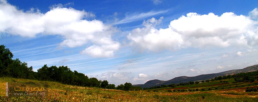 حالة الطقس في ال4 أيام القادمة
