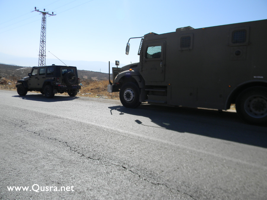 مستوطنون يقتلعون اكثر من 200 شجرة زيتون من أراضي القرية