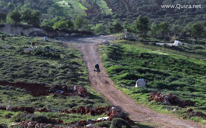 من يعيد حمار الحاج أبو محمد؟