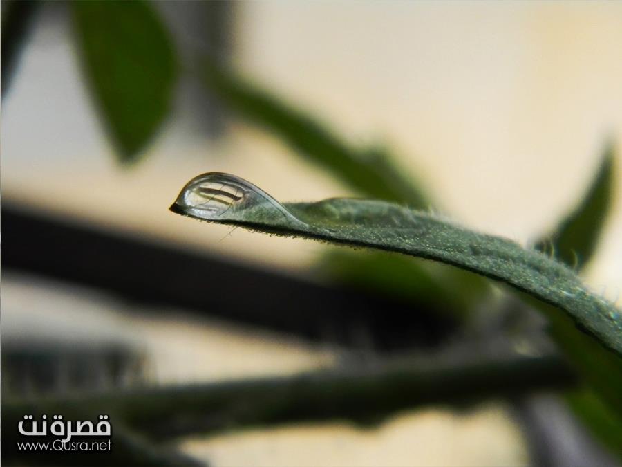 أمطار نهار عيد الأضحى المبارك 2012 | صــور