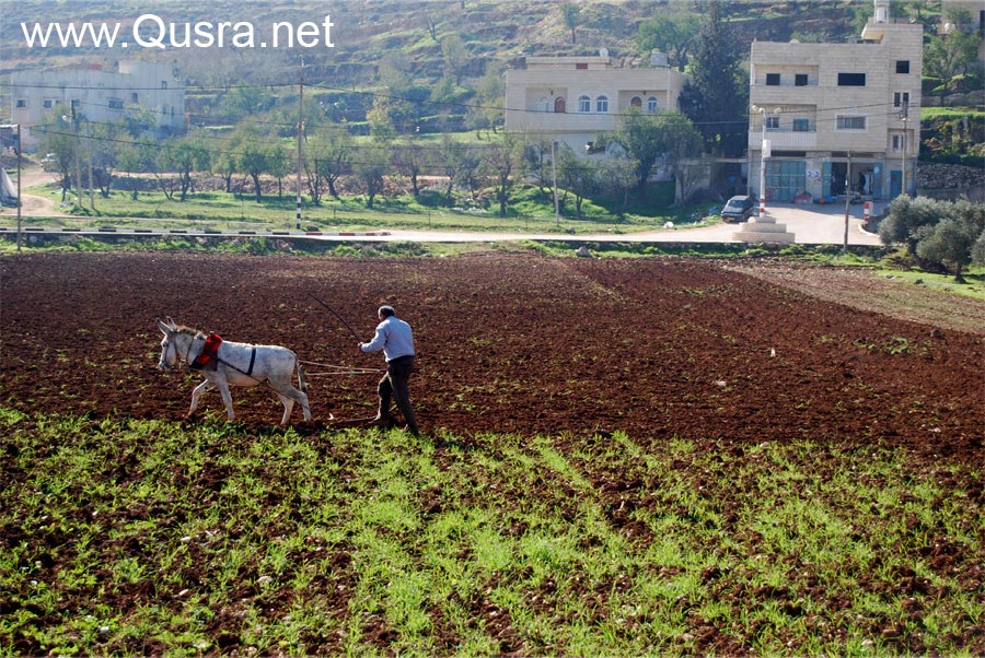 أجواء القرية اليوم الثلاثاء 18-12-2012