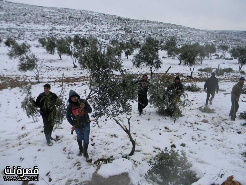 توثيق اعتداءات المستوطنين اليوم 10-1-2013