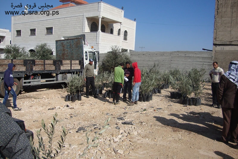 مؤسسة الرؤية العالمية تقدم 1000 شتلة زيتون لقرية قصرة