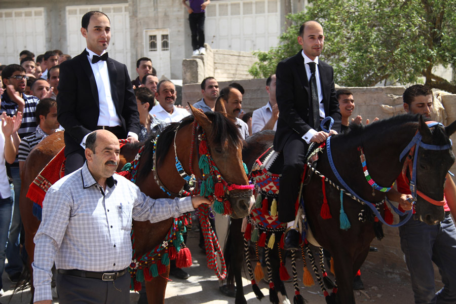 تهنئة للشابين مشهور ونايف شاهر حسن بمناسبة الزفاف