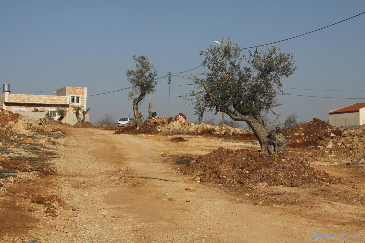 صور || المجلس القروي يزرع أشجار زيتون في منطقة الوعار ومدخل القرية
