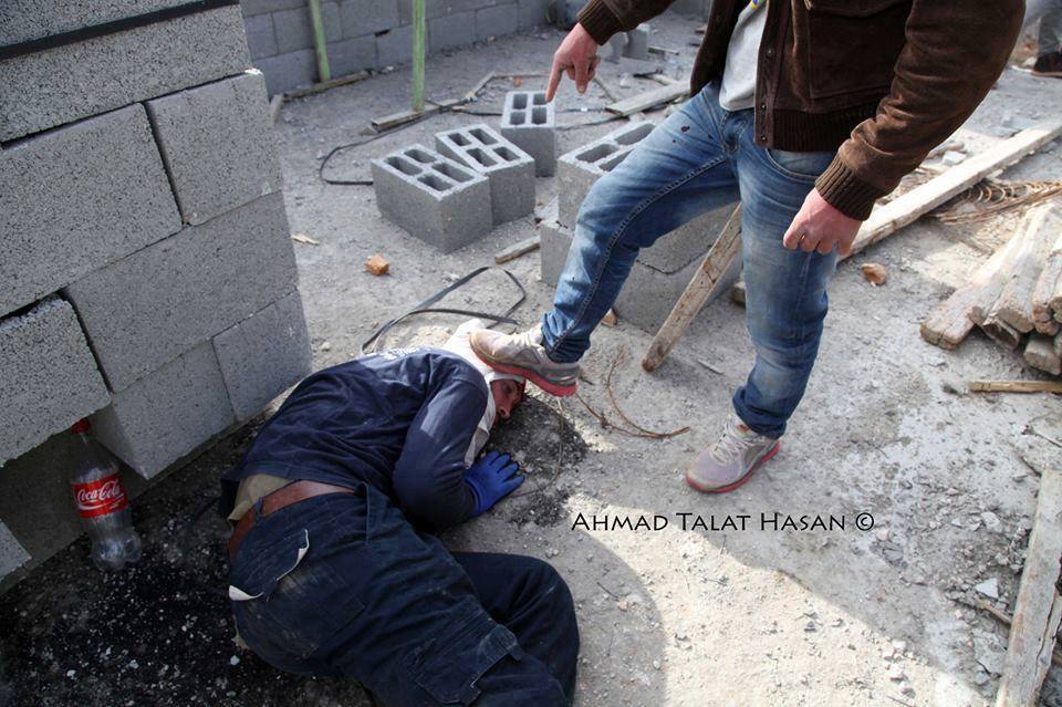 سينتقمونَ / للشاعر هلال الفارع