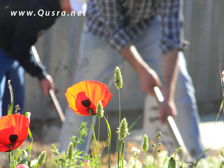 صور | مبادرة “الخير فينا1”